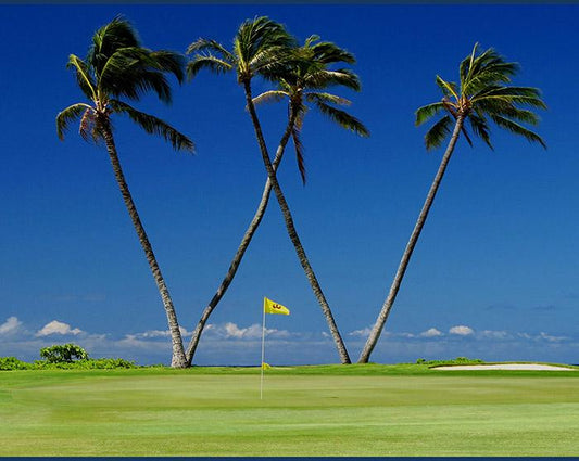 2024 Sony Open Preview